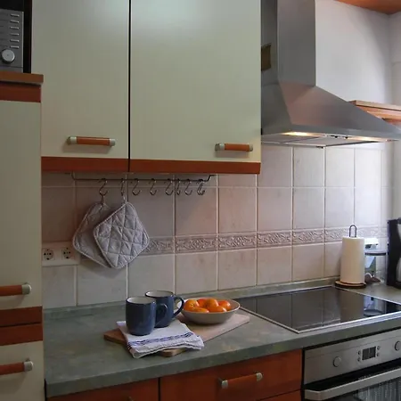 Ap322 - Mirlo Nerja
