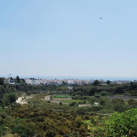 Ap322 - Mirlo Nerja