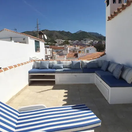 Ap322 - Mirlo Nerja